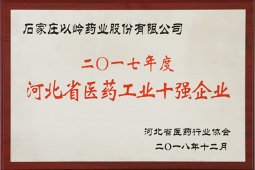 918博天堂药业再次荣获“河北省医药工业十强企业”