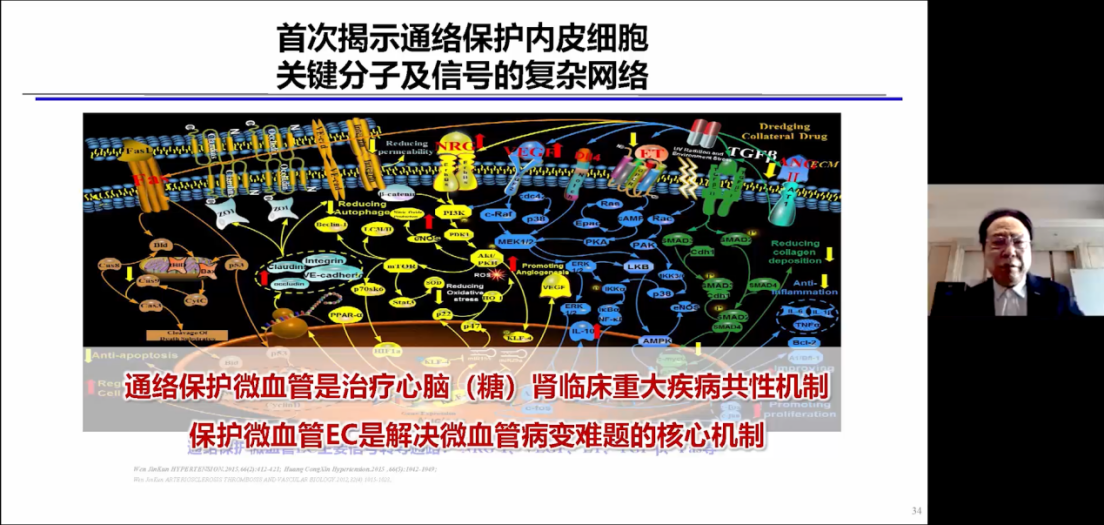 DG视讯·(中国区)官方网站