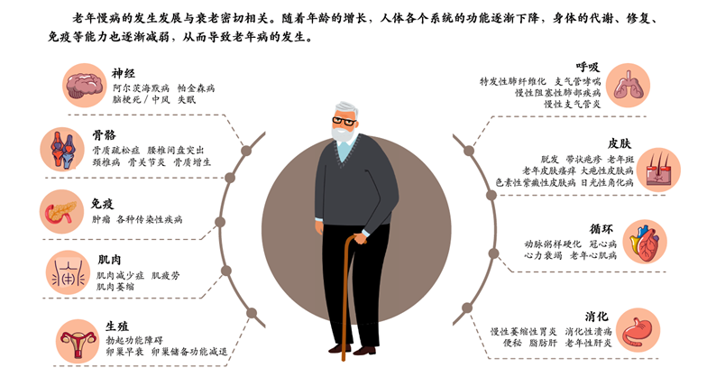 DG视讯·(中国区)官方网站